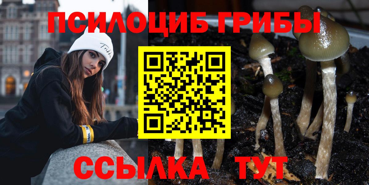 Нальчик  Псилоцибиновые грибы Cubensis  Вход с VPN 